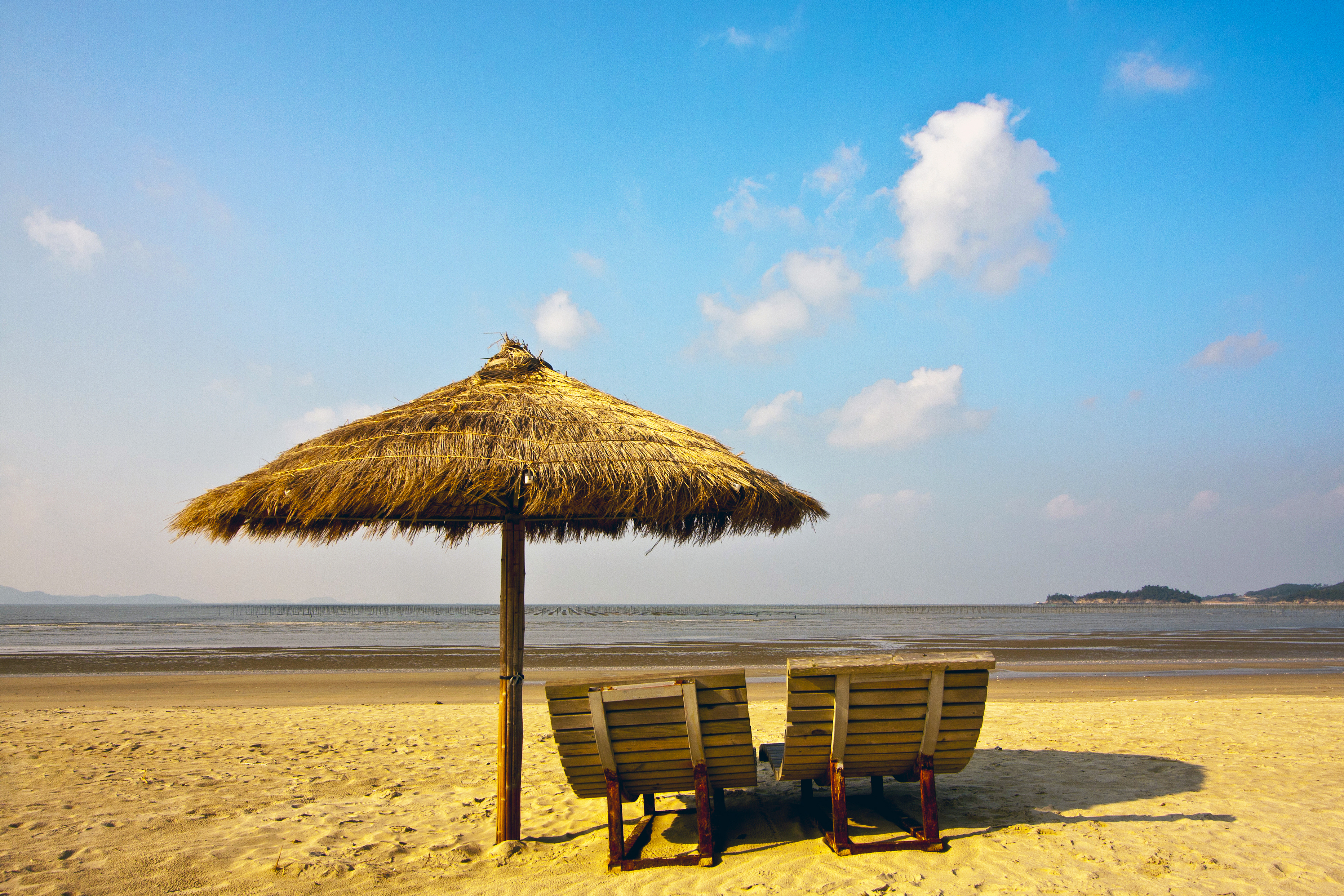 The beach parasol and chairs