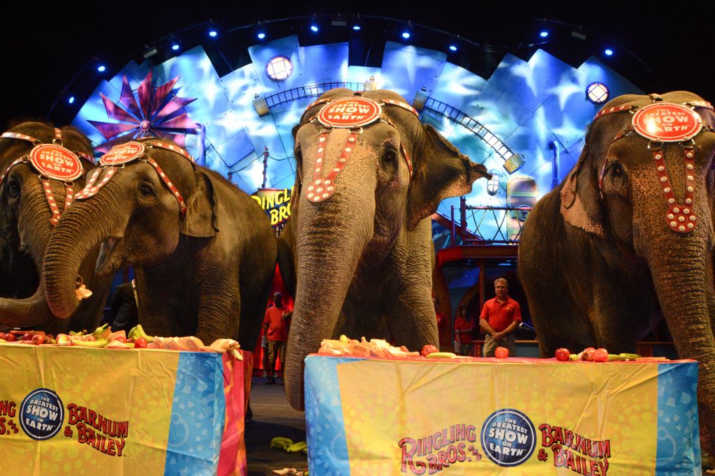 Ringling Bros. And Barnum & Bailey Presents 'Circus XTREME' VIP Celebrity Red Carpet Premiere
