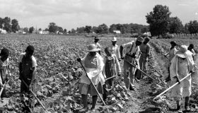 African-American Workers