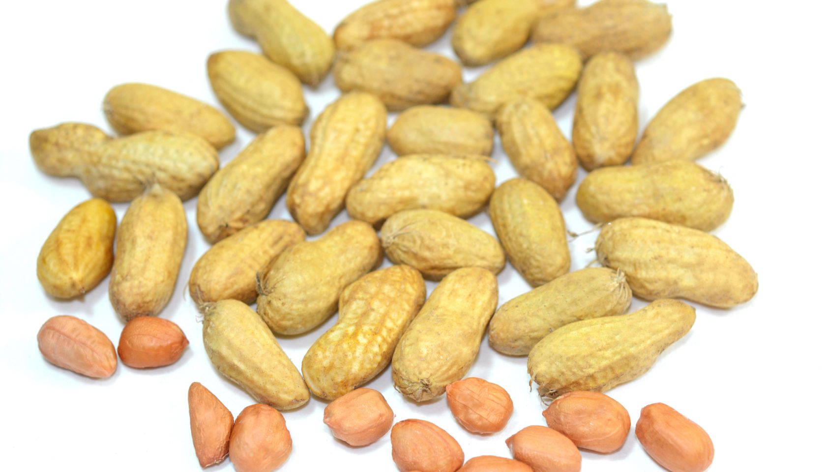 Peanut