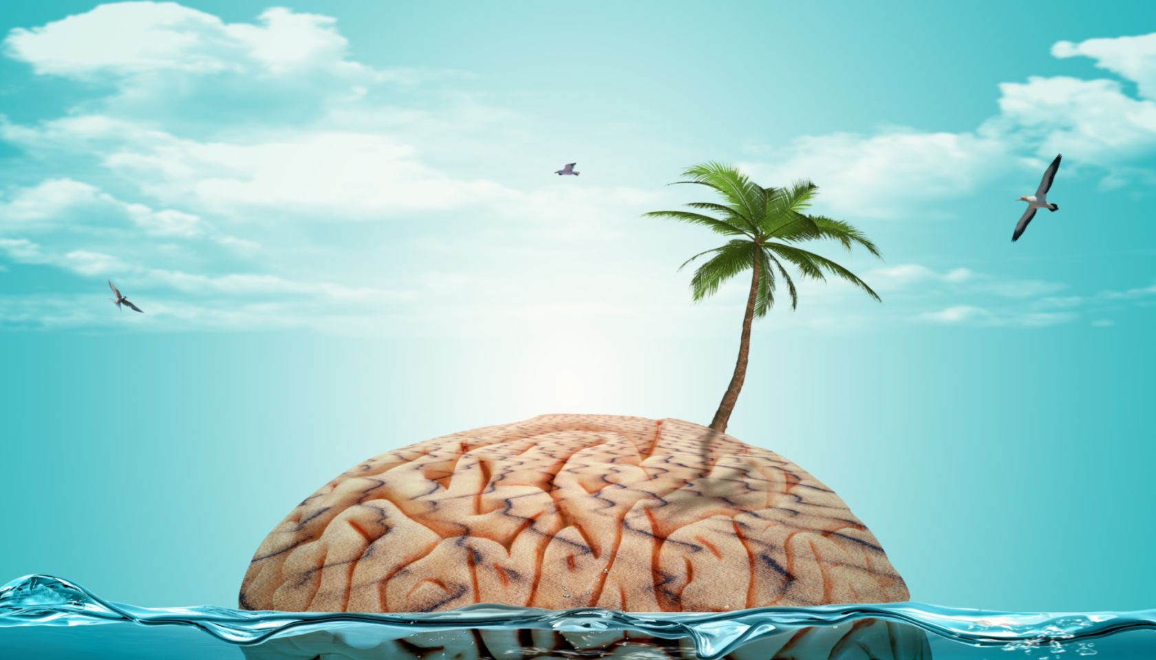 Brain on holiday