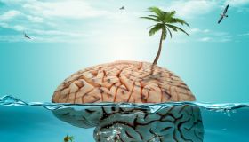 Brain on holiday