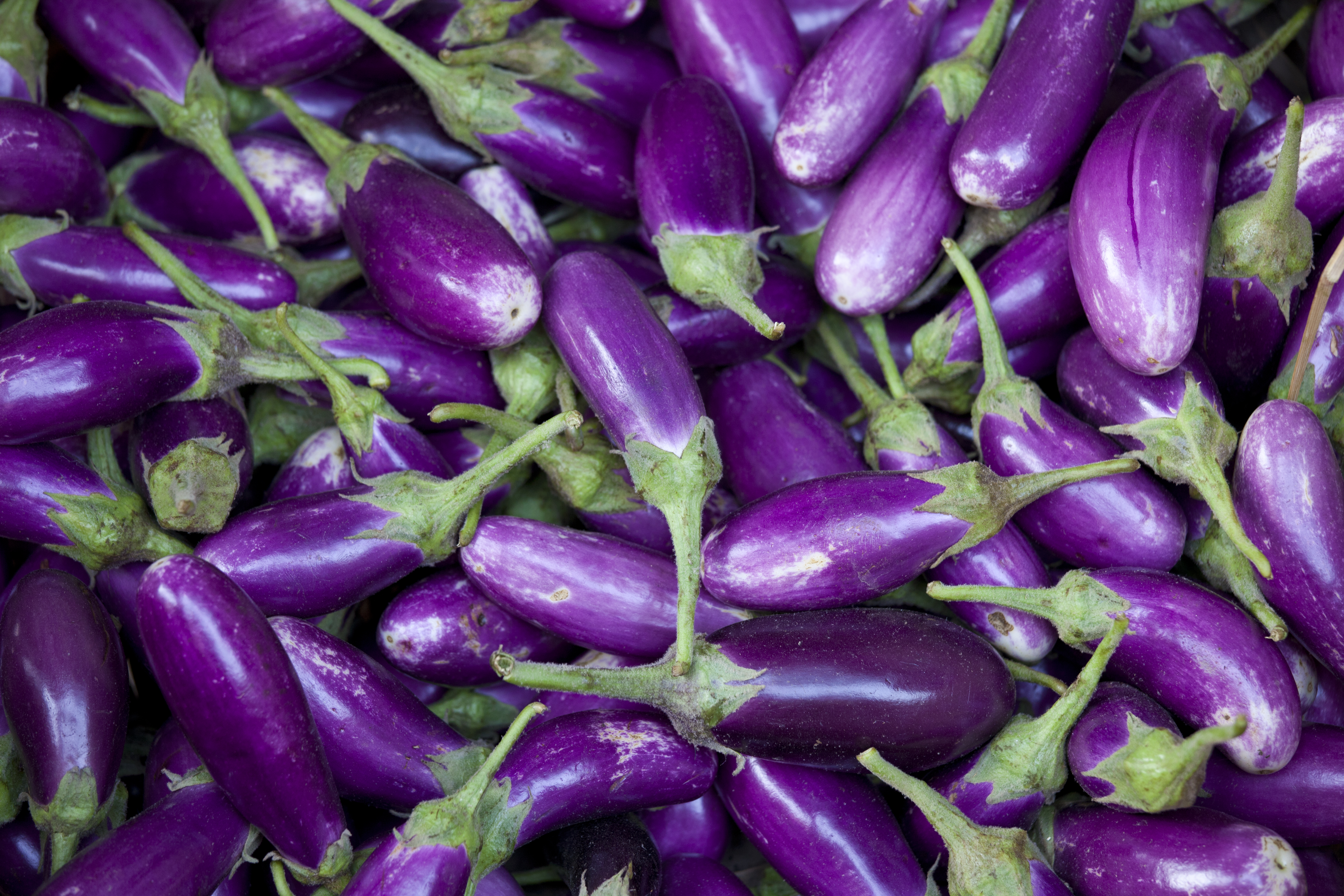 Eggplant