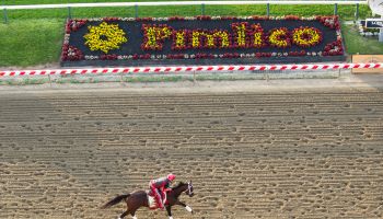 The 143rd Preakness Stakes-Previews