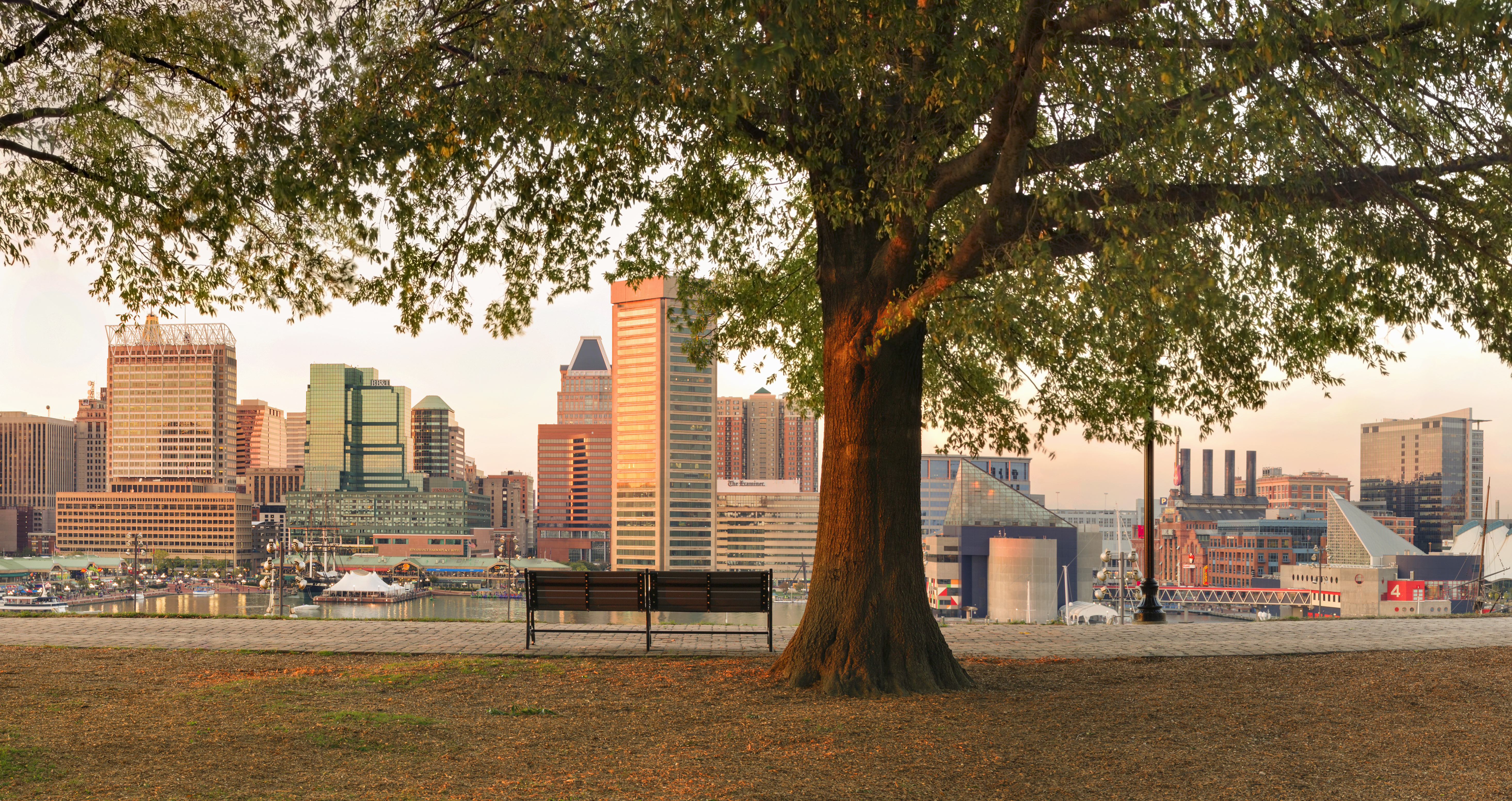 Baltimore skyline from Historic Federal Hill Park