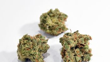 Recreational Use Of Marijuana Becomes Legal In Nevada