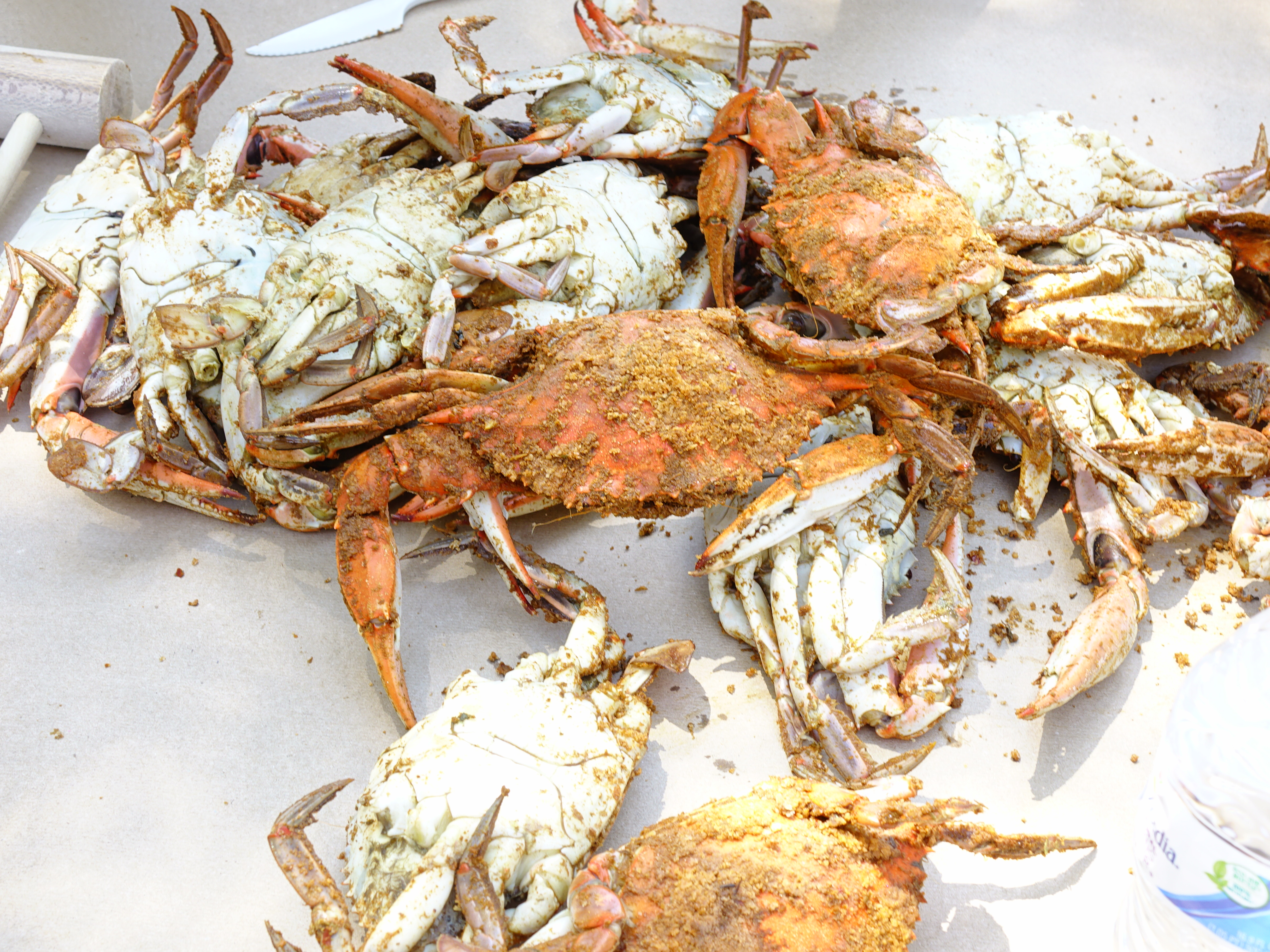 Steamed Crabs