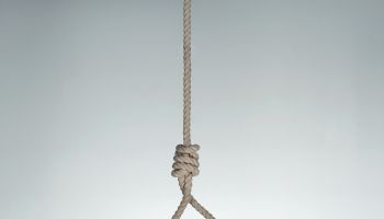 Low Angle View Of Noose Against White Background