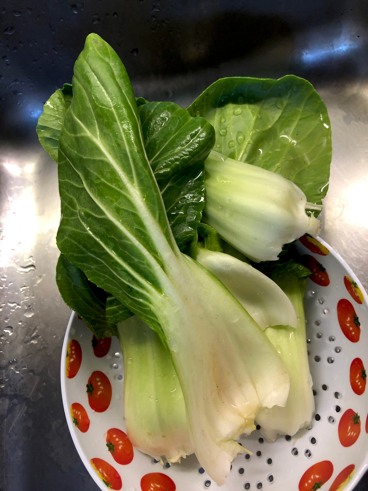 Close-up of Chinese cabbage