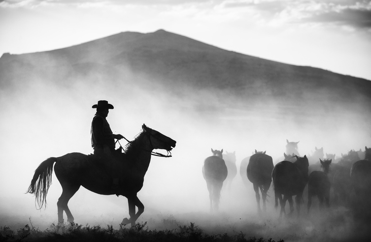 Silhouette Mid Adult Man Riding Horse On Field Against Mountain