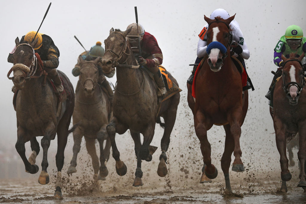 The 143rd Preakness Stakes