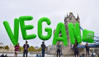 World Vegan Day: Big Balloons Send Meat-Free Message Sky-High