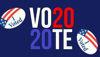 Vote 2020 Graphic