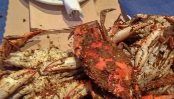 Baltimore Crabs Generic