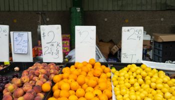 Nectarines, oranges and lemons for sale at a farmer’s market