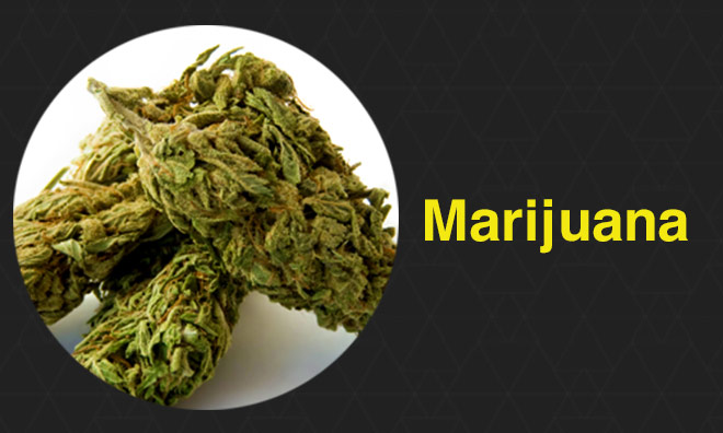marijuana-dl
