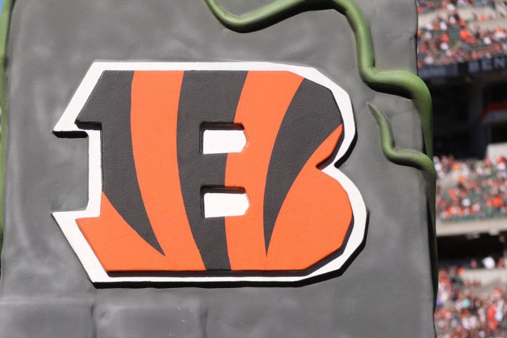 NFL: NOV 06 Panthers at Bengals