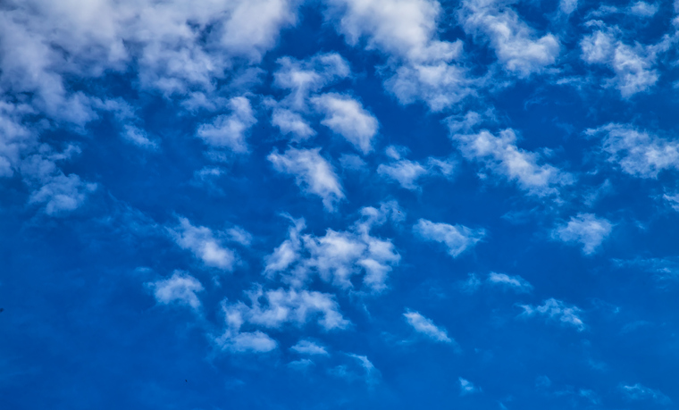 Go outside and get some sun while you can