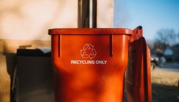 Recycling Bin in Residential Home