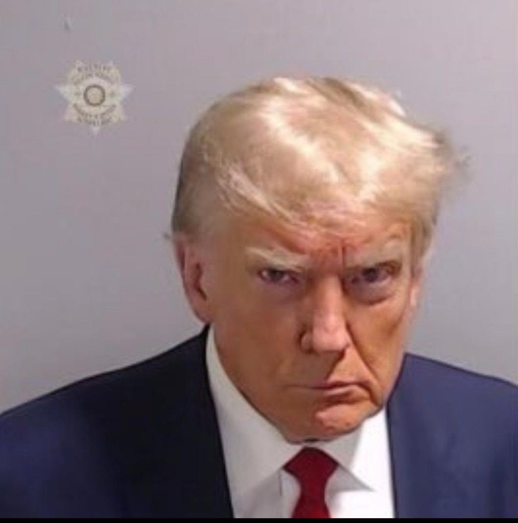 Mug Shot of Donald Trump