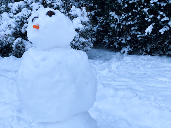 Leave water taps slightly open to prevent freezing pipes.