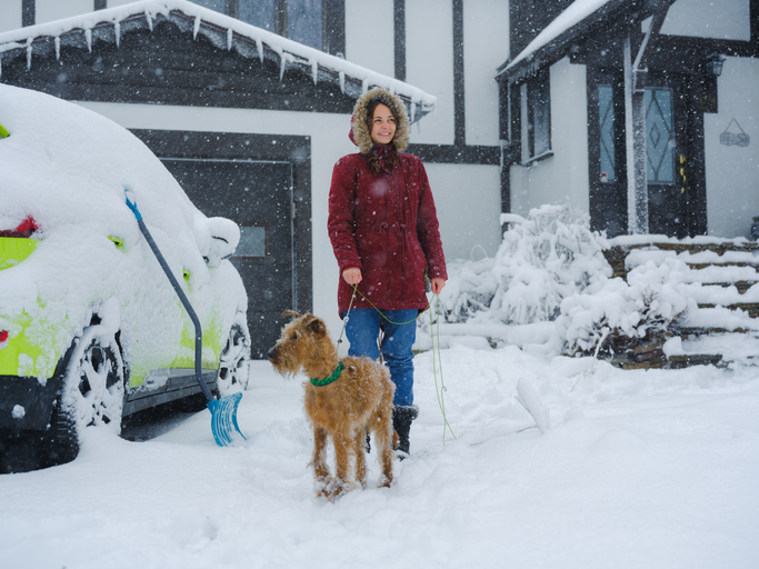 Try to keep pets indoors during cold weather, but if they go outside, thoroughly wipe their legs and underbelly free of snow when returning indoors.