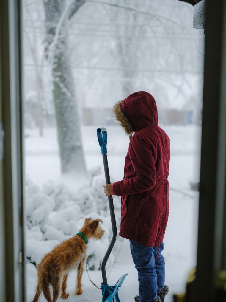 Never let your dog off leash on snow or ice.
