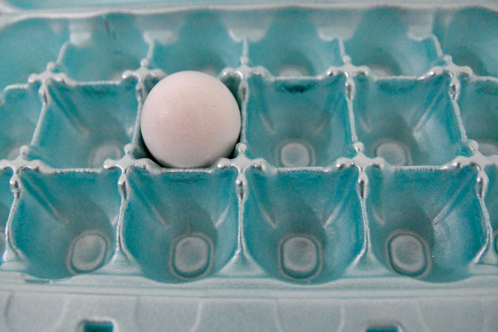 Illustrative Images, Egg Production Crisis