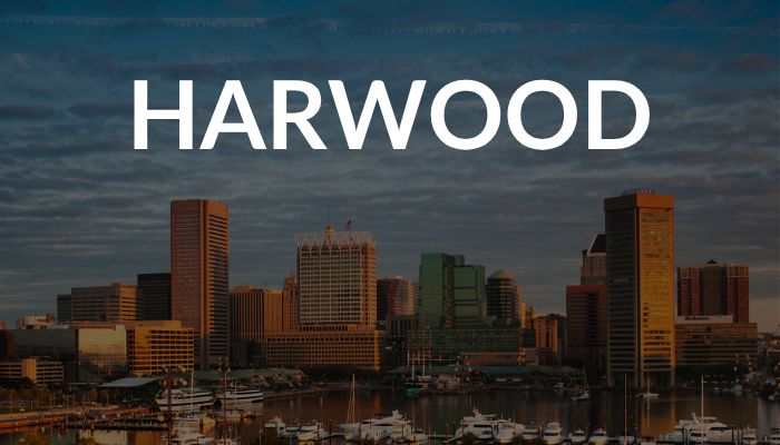 Best Neighborhoods to Raise a Family in Baltimore