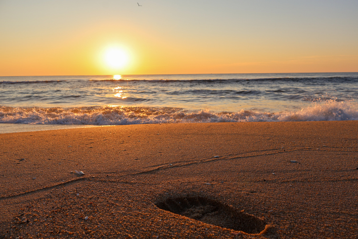 Golden sunrise