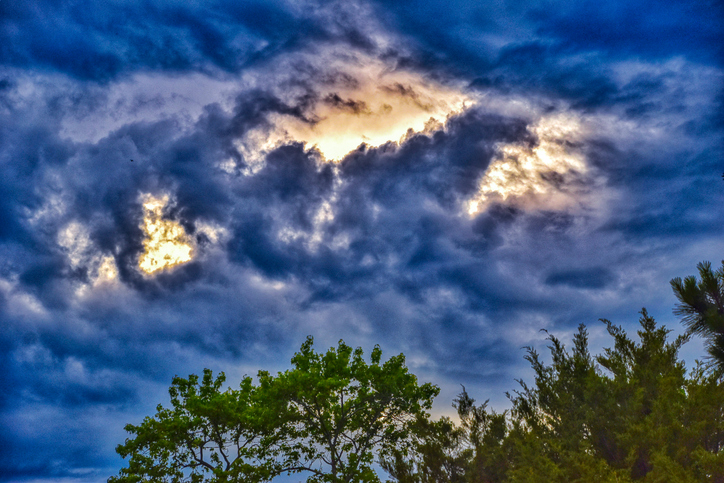 Storm clouds at dusk over a tree line, southern Maryland