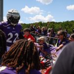 Baltimore Ravens Training Camp