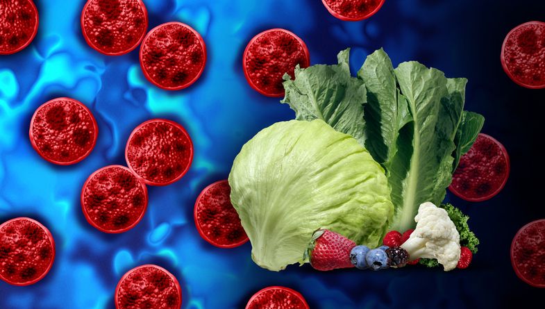 Cyclospora-Outbreak