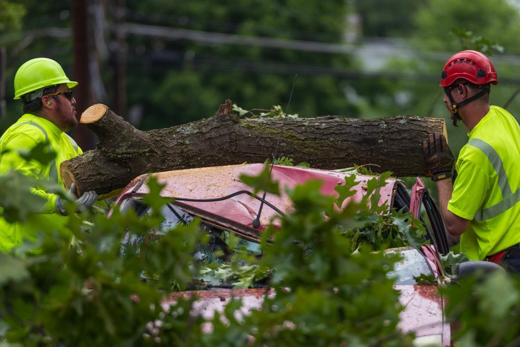 GAITHERSBURG, MD - JUNE 6: Workers remove a tree limb that fell