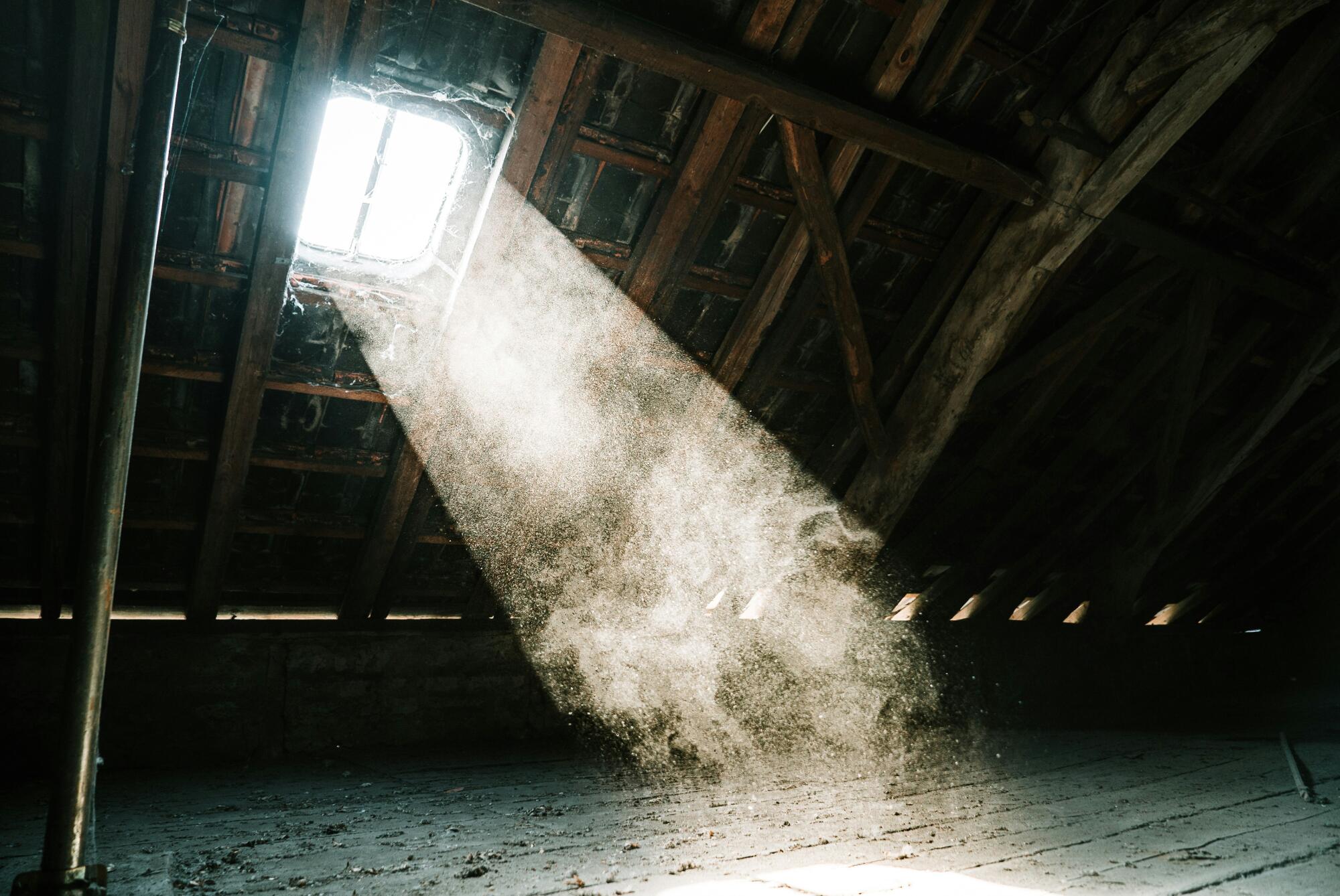 Tired of a dusty home? Uncover the hidden causes